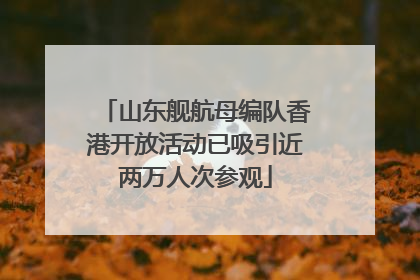 山东舰航母编队香港开放活动已吸引近两万人次参观