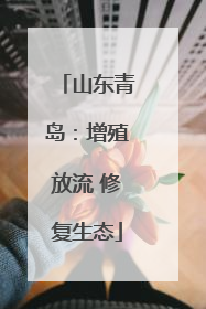 山东青岛：增殖放流 修复生态