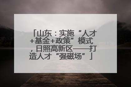 山东：实施“人才+基金+政策”模式，日照高新区——打造人才“强磁场”