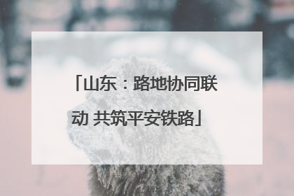 山东：路地协同联动 共筑平安铁路