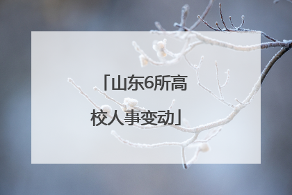山东6所高校人事变动