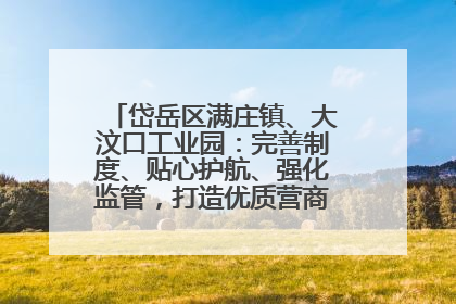 岱岳区满庄镇、大汶口工业园：完善制度、贴心护航、强化监管，打造优质营商“强磁场”