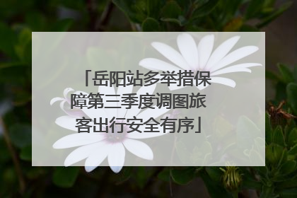 岳阳站多举措保障第三季度调图旅客出行安全有序