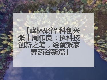 峰林聚智 科创兴张丨周伟良：执科技创新之笔，绘就张家界药谷新篇