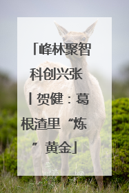 峰林聚智 科创兴张丨贺健：葛根渣里“炼”黄金