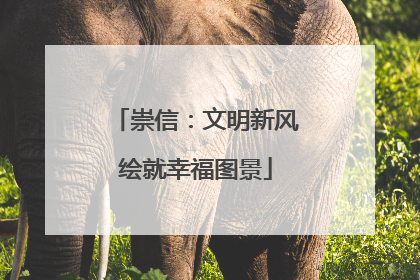 崇信：文明新风绘就幸福图景