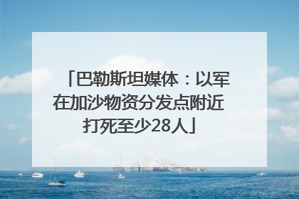 巴勒斯坦媒体：以军在加沙物资分发点附近打死至少28人