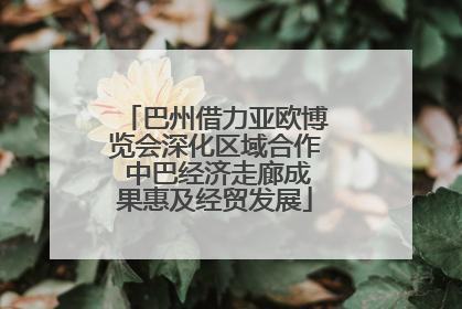 巴州借力亚欧博览会深化区域合作 中巴经济走廊成果惠及经贸发展