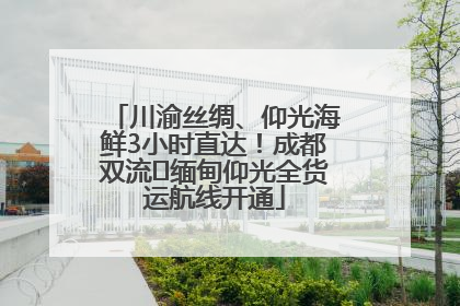 川渝丝绸、仰光海鲜3小时直达！成都双流⇌缅甸仰光全货运航线开通