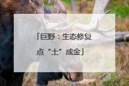 巨野：生态修复点“土”成金