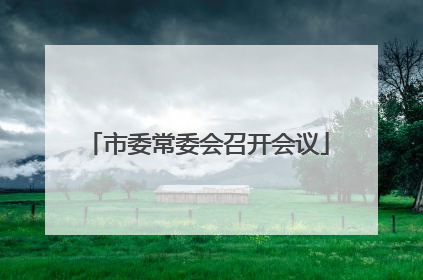 市委常委会召开会议