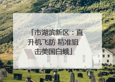 市湖滨新区：直升机飞防 精准狙击美国白蛾