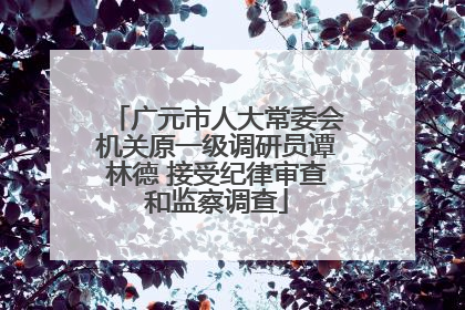 广元市人大常委会机关原一级调研员谭林德 接受纪律审查和监察调查