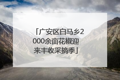 广安区白马乡2000余亩花椒迎来丰收采摘季
