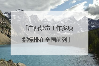 广西禁毒工作多项指标排在全国前列