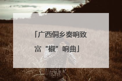 广西侗乡奏响致富“椒”响曲