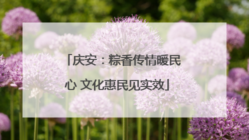 庆安：粽香传情暖民心 文化惠民见实效