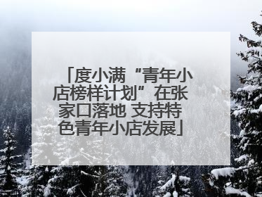 度小满“青年小店榜样计划”在张家口落地 支持特色青年小店发展