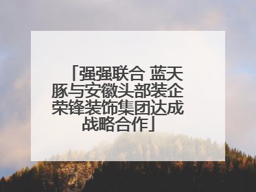 强强联合 蓝天豚与安徽头部装企荣锋装饰集团达成战略合作