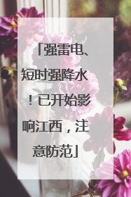强雷电、短时强降水！已开始影响江西，注意防范