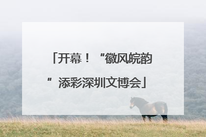 开幕！“徽风皖韵”添彩深圳文博会