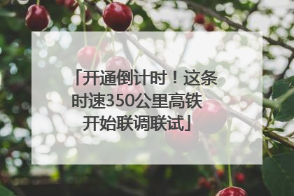 开通倒计时！这条时速350公里高铁开始联调联试