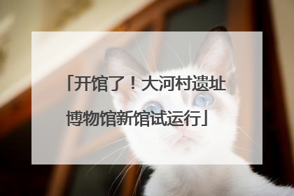 开馆了！大河村遗址博物馆新馆试运行