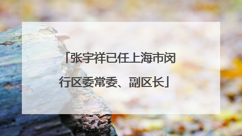 张宇祥已任上海市闵行区委常委、副区长