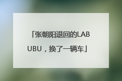 张朝阳退回的LABUBU，换了一辆车