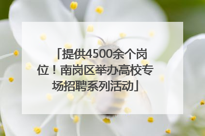 提供4500余个岗位！南岗区举办高校专场招聘系列活动