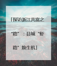 探访浙江共富之“路”：县城“虾路”焕生机