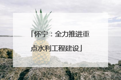怀宁：全力推进重点水利工程建设