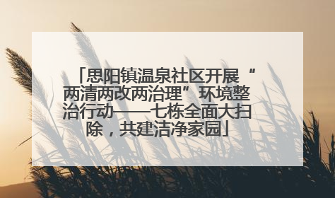 思阳镇温泉社区开展“两清两改两治理”环境整治行动——七栋全面大扫除，共建洁净家园
