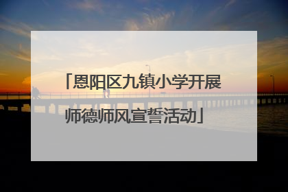 恩阳区九镇小学开展师德师风宣誓活动