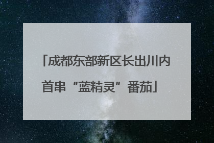 成都东部新区长出川内首串“蓝精灵”番茄
