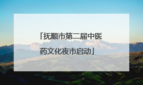 抚顺市第二届中医药文化夜市启动