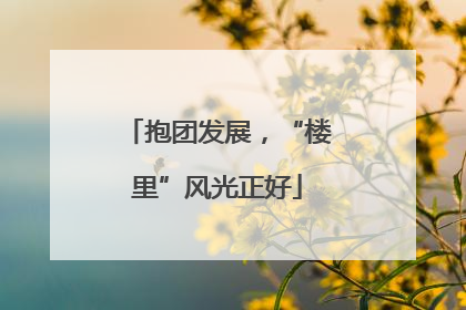抱团发展，“楼里”风光正好