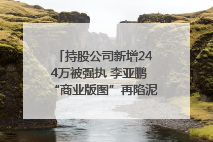 持股公司新增244万被强执 李亚鹏“商业版图”再陷泥潭？｜科技观察