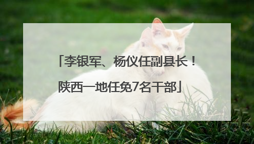 李银军、杨仪任副县长！陕西一地任免7名干部