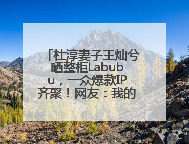 杜淳妻子王灿兮晒整柜Labubu，一众爆款IP齐聚！网友：我的 “梦中情柜”