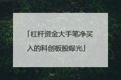 杠杆资金大手笔净买入的科创板股曝光