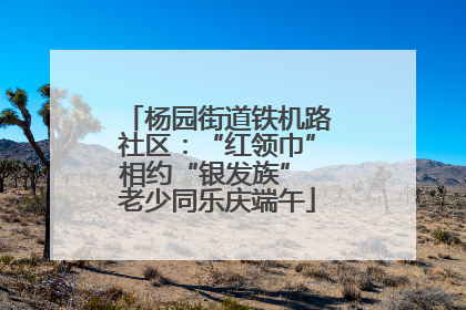 杨园街道铁机路社区：“红领巾”相约“银发族” 老少同乐庆端午