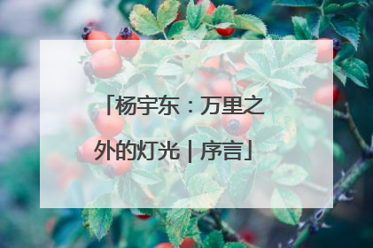 杨宇东：万里之外的灯光｜序言