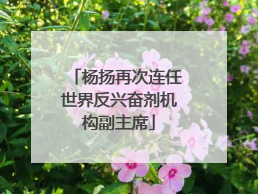 杨扬再次连任世界反兴奋剂机构副主席