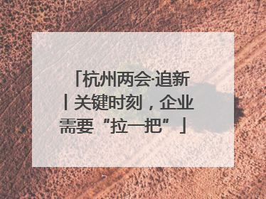 杭州两会·追新丨关键时刻，企业需要“拉一把”