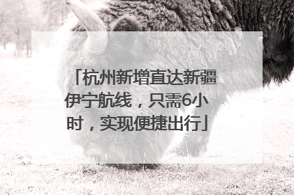 杭州新增直达新疆伊宁航线，只需6小时，实现便捷出行