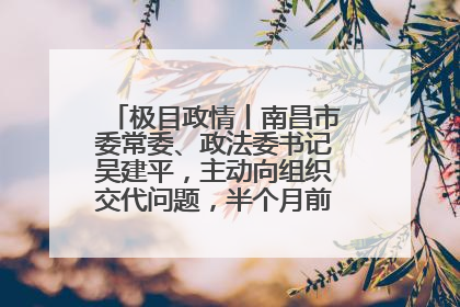 极目政情丨南昌市委常委、政法委书记吴建平，主动向组织交代问题，半个月前还在出席会议