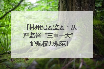 林州纪委监委：从严监督“三重一大” 护航权力规范