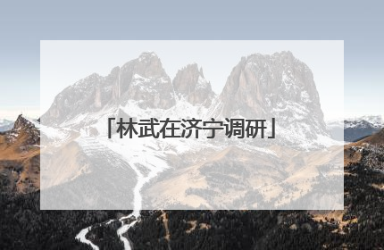 林武在济宁调研