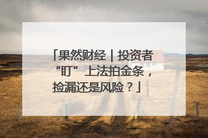 果然财经｜投资者“盯”上法拍金条，捡漏还是风险？